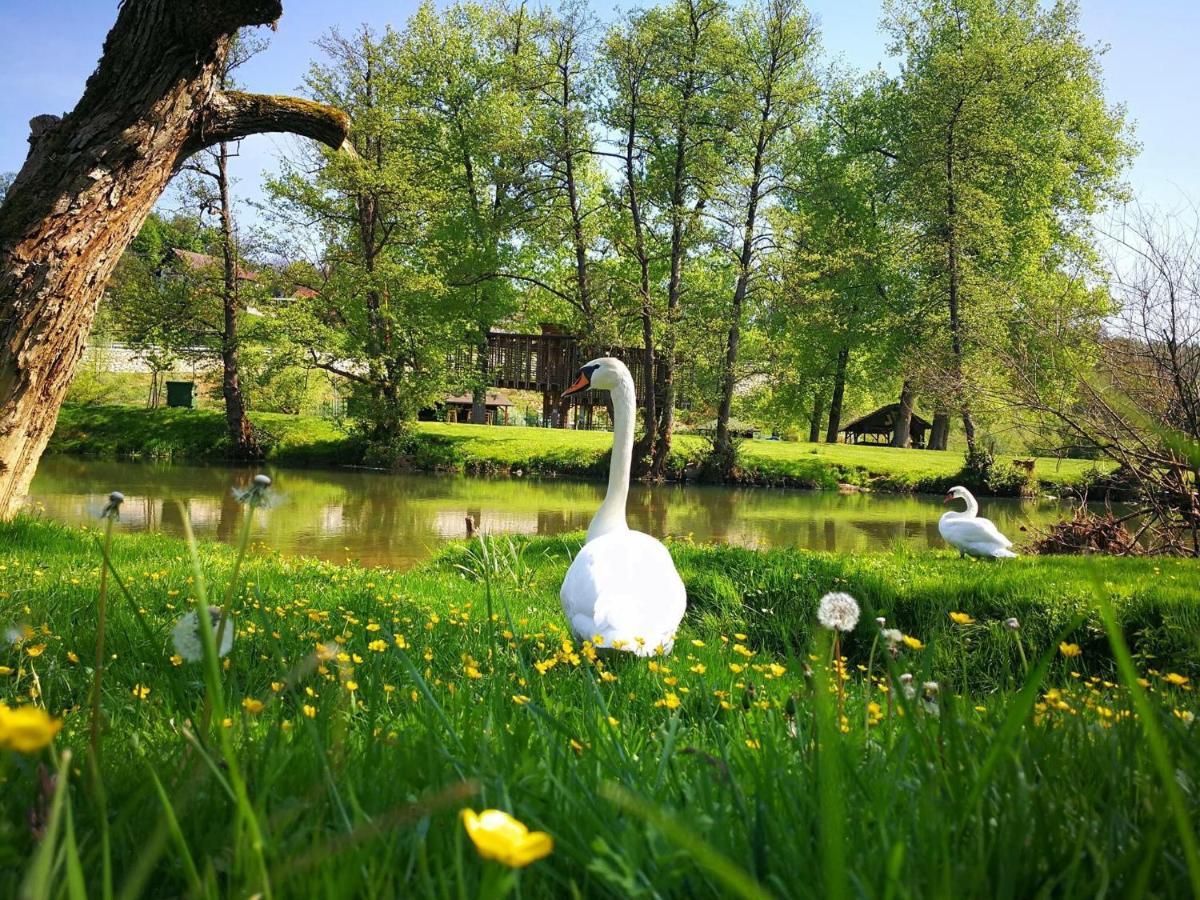 Gostisce Koren Hotel Zuzemberk Kültér fotó